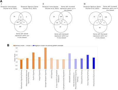 Modulation of the pre-metastatic bone niche: molecular changes mediated by bone-homing prostate cancer extracellular vesicles